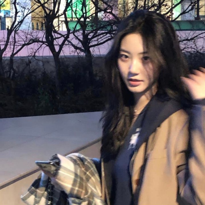 新美女与野兽